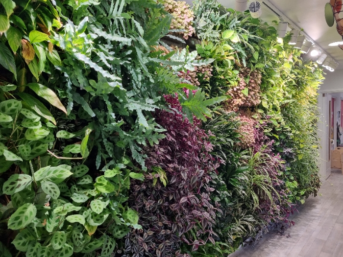Living Walls